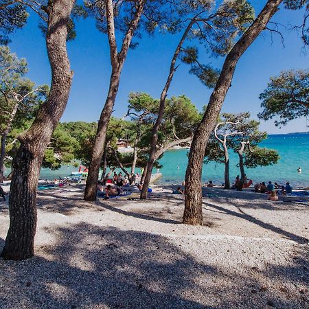Grande Glamping With Pool Ξενοδοχείο Biograd Na Moru Εξωτερικό φωτογραφία